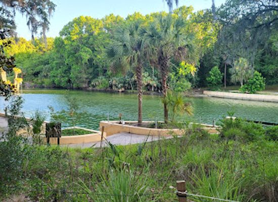 florida/juniper-springs-recreation-area/bar/salt-springs-recreation-area