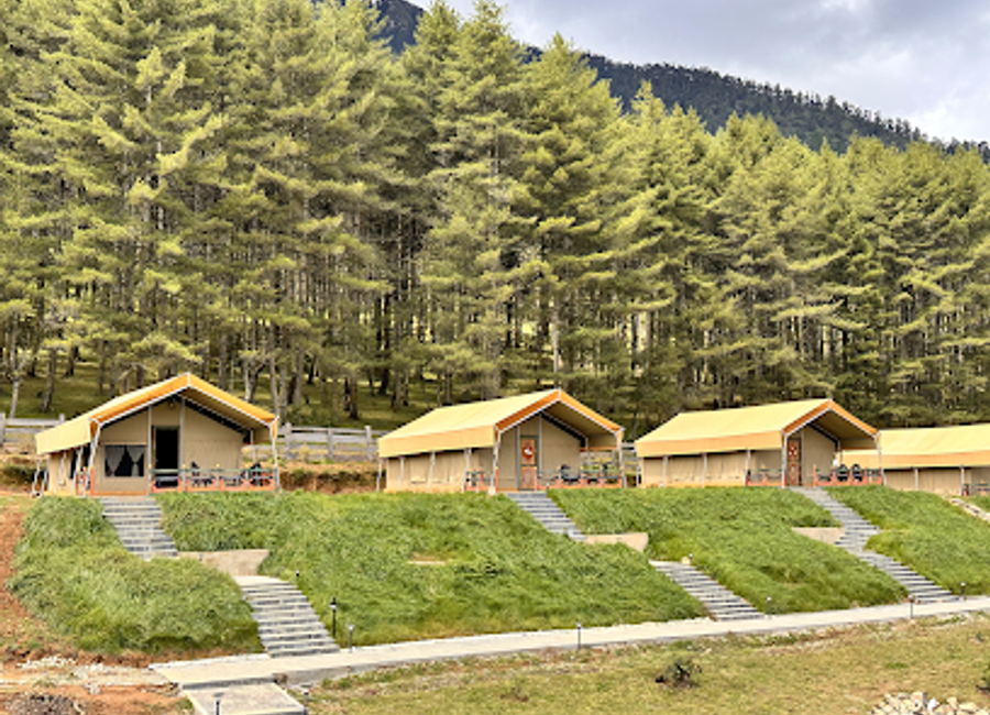Discover the enchanting Gangtey Tent Resort, a luxury glamping experience amidst the breathtaking landscapes of Bhutan's Phobjikha Valley.