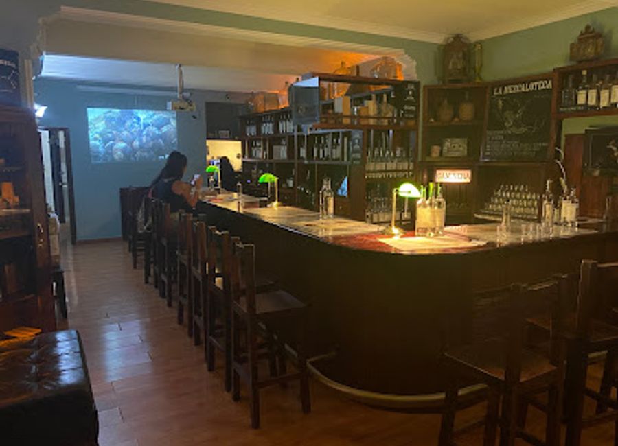 Unveil the rich flavors of artisanal mezcal at La Mezcaloteca, a vibrant bar in Oaxaca celebrating local culture and heritage.