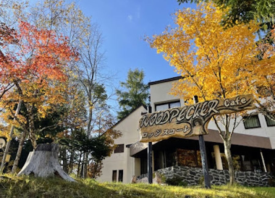 Discover Zao Onsen & Ski Lodge Scole: A perfect blend of adventure and relaxation in Japan's breathtaking landscapes, ideal for families and winter sports lovers.