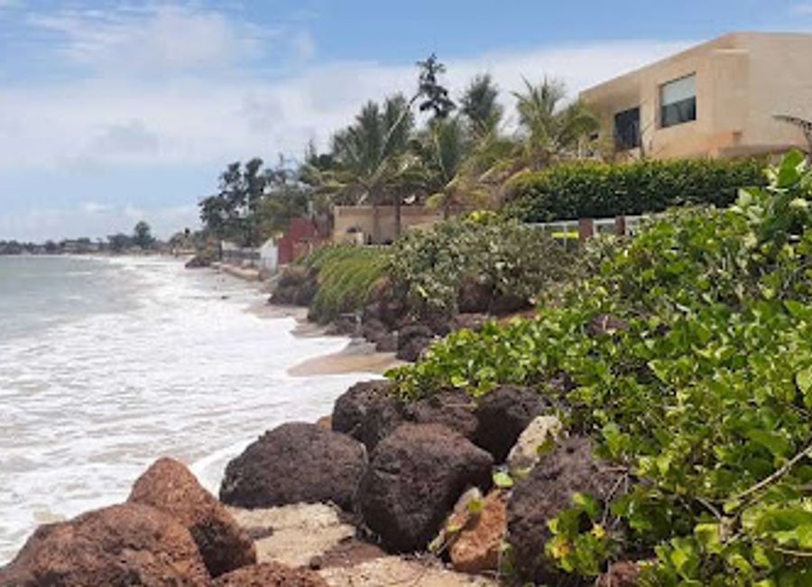 Experience vibrant local culture and refreshing drinks at Sine Saloum Bar in Dakar's lively atmosphere.