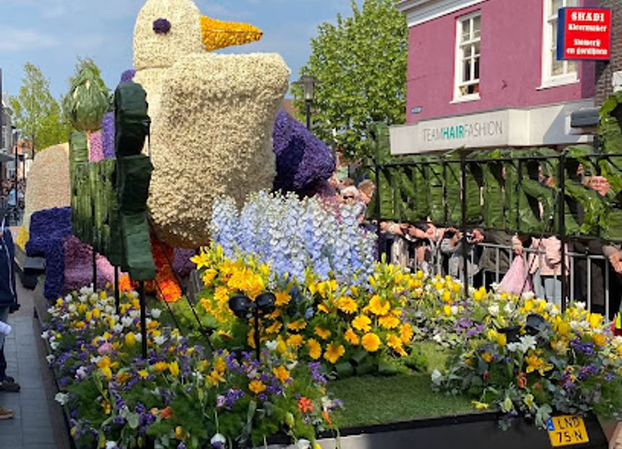 Indulge in authentic Italian flavors at Ristorante Il Mulino, where every meal is a celebration of Italy's rich culinary traditions.