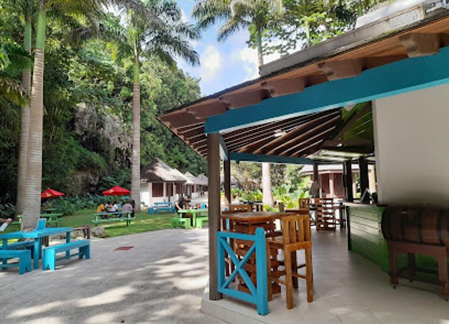 Experience the lively ambiance and delicious Caribbean cuisine at Green Monkey Bar & Grill in Allen View, Saint Thomas, Barbados.