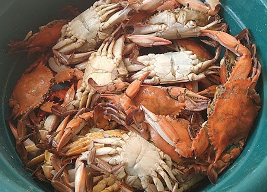 Experience the vibrant spirit of Barreirinhas at Lencois Bar, where refreshing drinks meet a welcoming atmosphere, perfect for relaxation after exploring Lençóis Maranhenses.