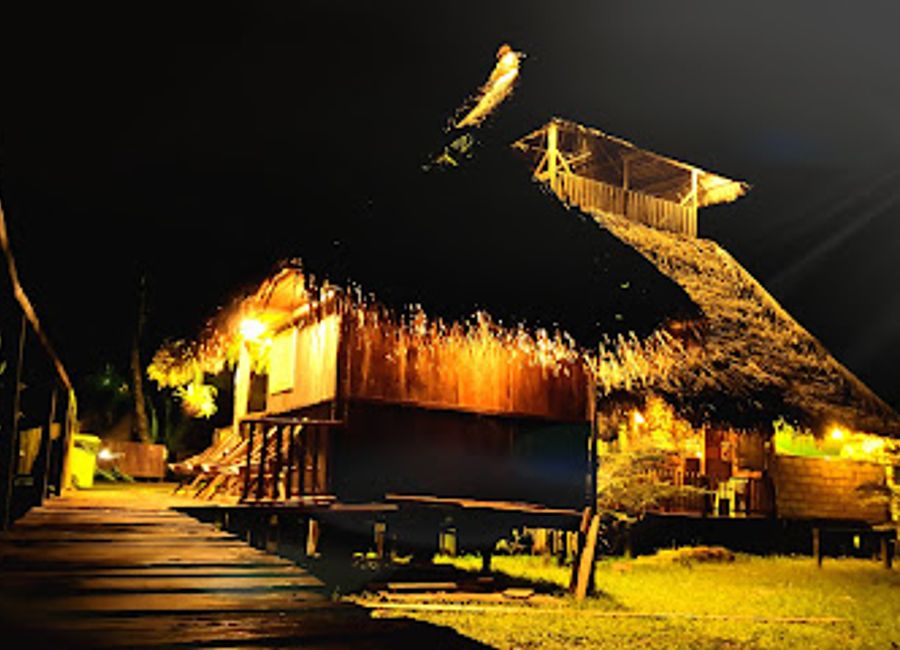 Discover the breathtaking biodiversity of the Amazon at Cuyabeno River Lodge, your gateway to an unforgettable ecotourism adventure.