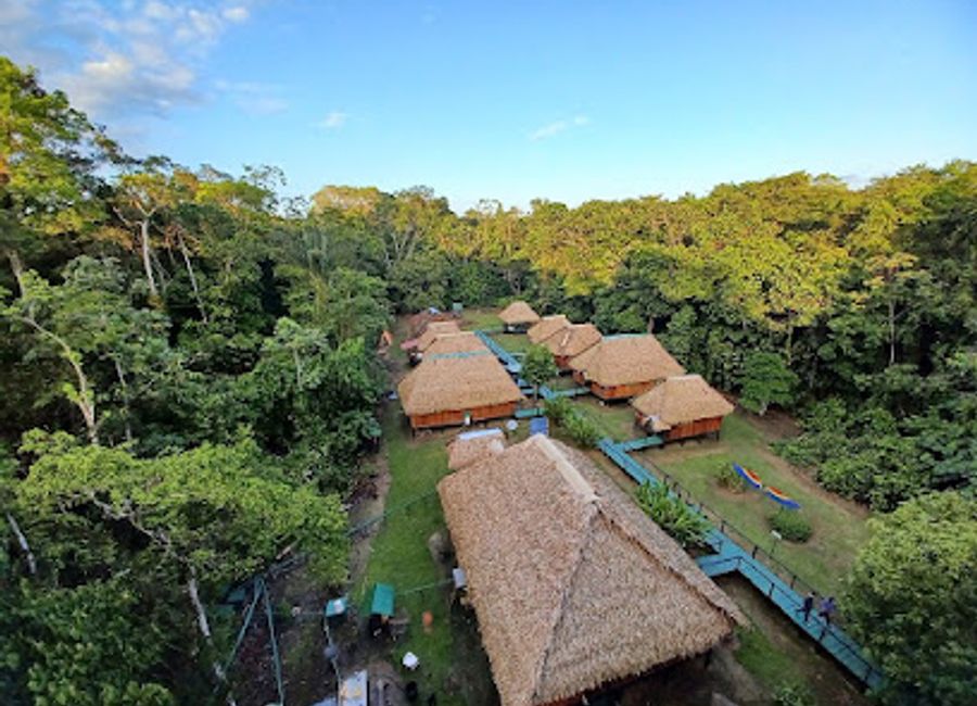 Experience the Amazon rainforest like never before at Green Forest Ecolodge, a sustainable haven for nature lovers in Cuyabeno.
