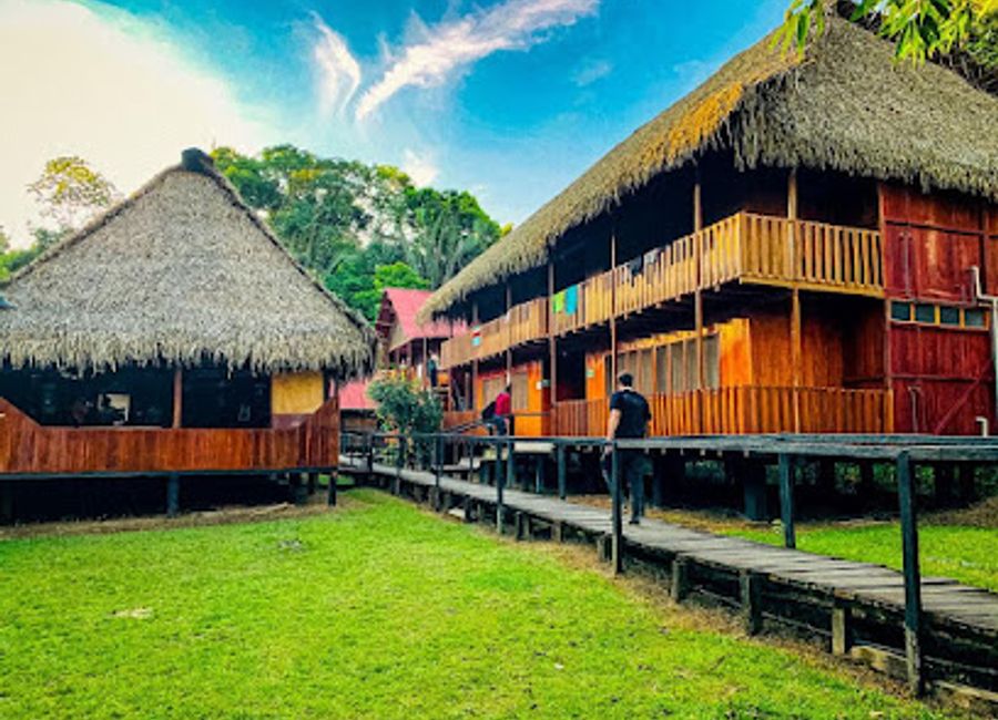 Discover the Amazon's rich biodiversity at Cuyabeno Wildlife Center, your gateway to Ecuador's enchanting rainforest adventures.