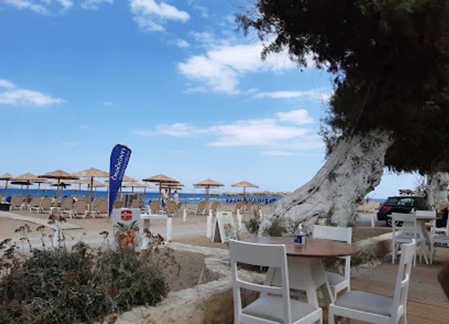 Discover Blue N Blum, a charming bar in Gazi offering an array of drinks and a cozy atmosphere perfect for unwinding after a day of exploration.