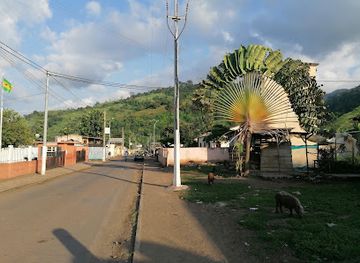 sao-tome-and-principe/neves