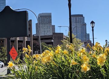 new-york/white-plains