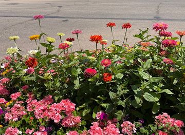 colorado/fort-collins