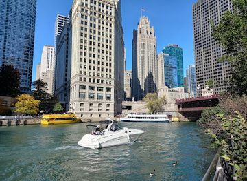 illinois/chicago