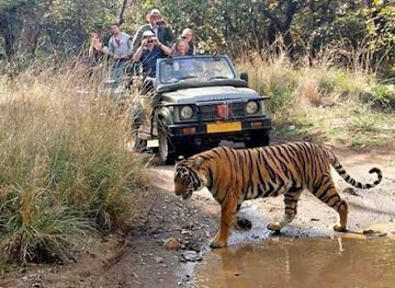 india/ranthambore
