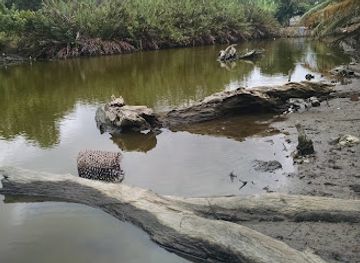 equatorial-guinea/mbini