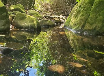 saint-kitts-and-nevis/cayon