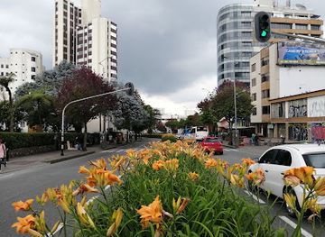 colombia/manizales
