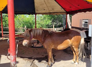 north-dakota/jamestown