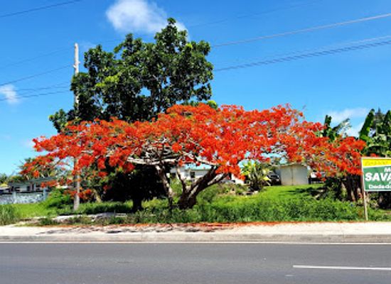 guam/dededo