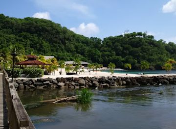 saint-vincent-and-the-grenadines/saint-andrew
