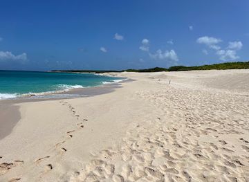 anguilla/scrub-island