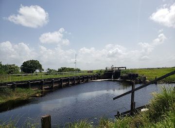 guyana/essequibo-islands-west-demerara