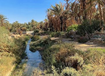 tunisia/the-djerid
