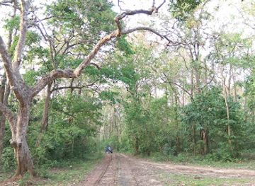 bangladesh/madhupur-tract