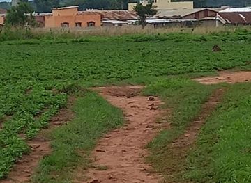 the-gambia/upper-river-region