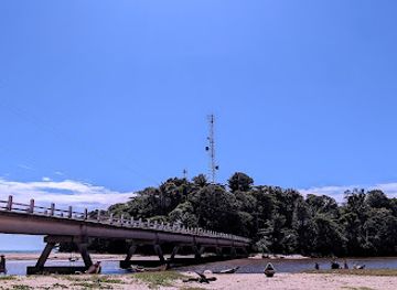 madagascar/atsinanana
