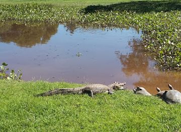 bolivia/pantanal