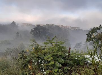 ethiopia/kaffa