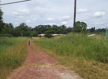 gabon/ogooue-ivindo-province
