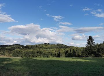 czechia/czech-forest