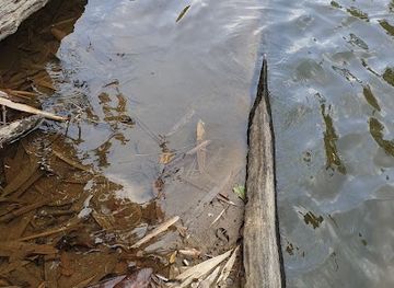 myanmar-burma/upper-myanmar