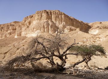 israel/negev