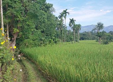 nepal/mechi-zone