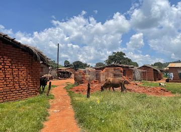 malawi/mchinji-highlands