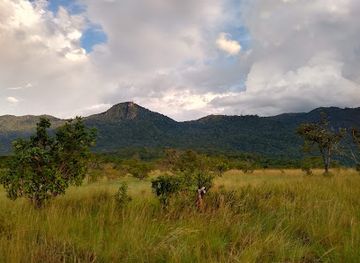 guyana/kanuku-mountains