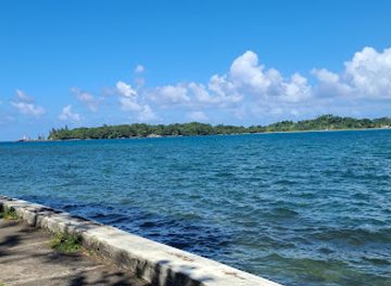jamaica/port-antonio-area
