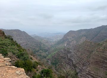 djibouti/day-forest-national-park