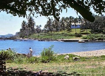 new-caledonia/poindimie