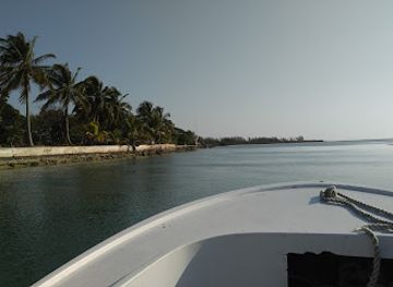 the-bahamas/andros