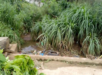 gabon/estuary-province