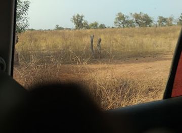 the-gambia/jokadu