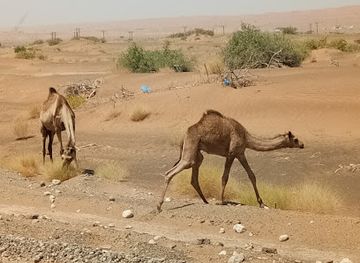 oman/ash-sharqiyah-north-governorate