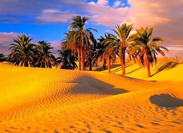 egypt/western-desert
