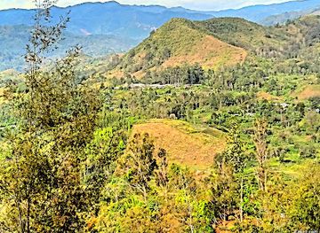 papua-new-guinea/highlands-region