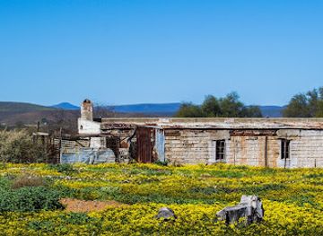 south-africa/namaqualand