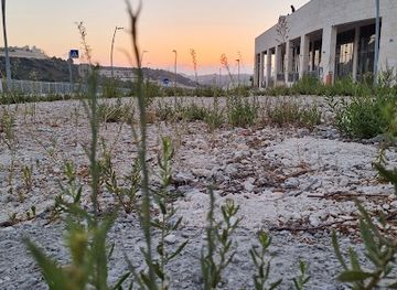 israel/shephelah