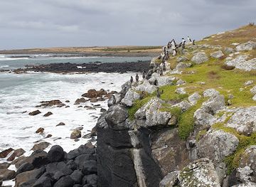 new-zealand/chatham-islands
